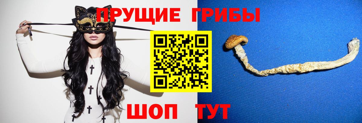 Псилоцибиновые грибы GOLDEN TEACHER Сланцы
