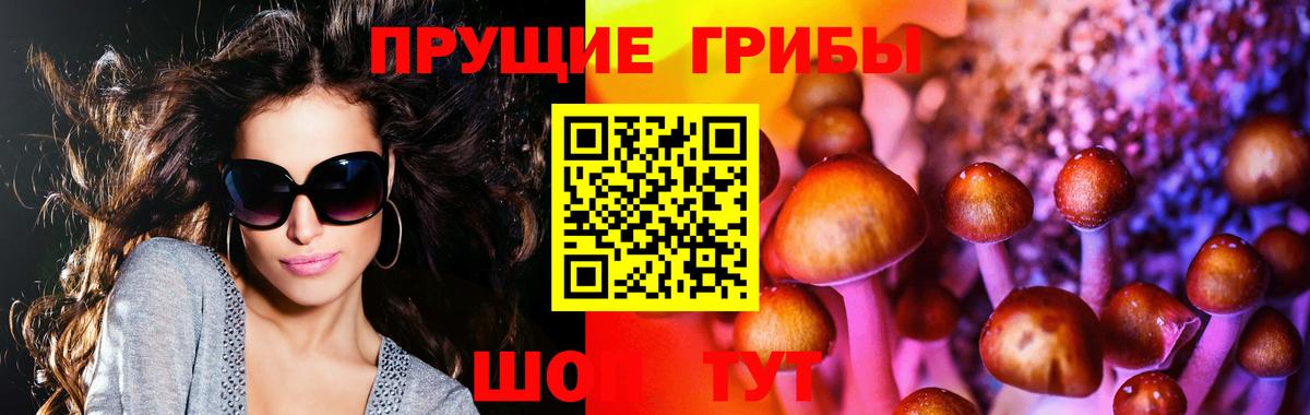 Сланцы  Галлюциногенные грибы GOLDEN TEACHER  Вход с VPN 